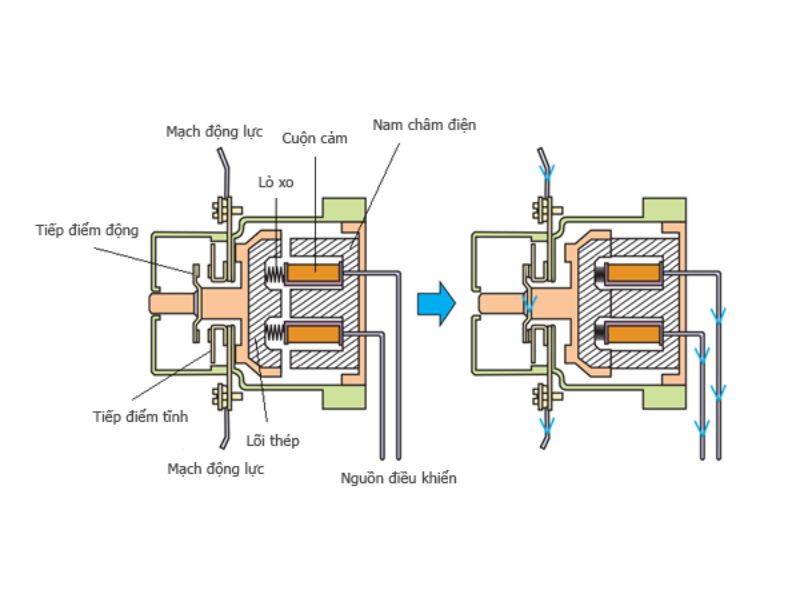 Cấu tạo của Contactor bao gồm những gì?